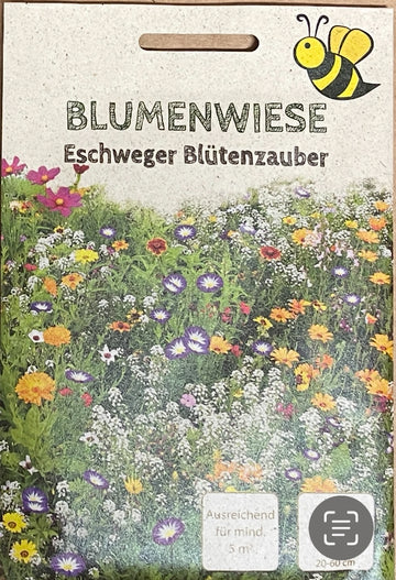 Samen Blumenwiese Eschwege