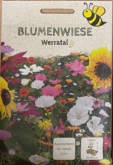 Samen Blumenwiese Werratal