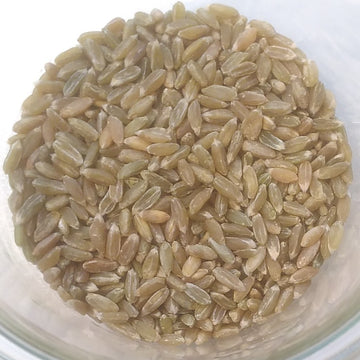 Grünkern